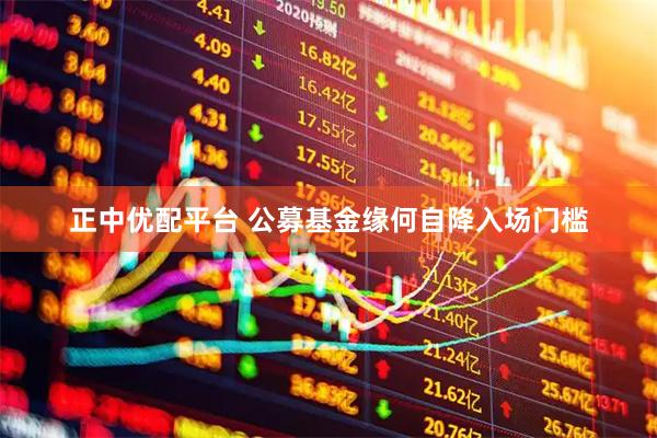 正中优配平台 公募基金缘何自降入场门槛